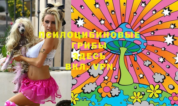 бошки Абдулино