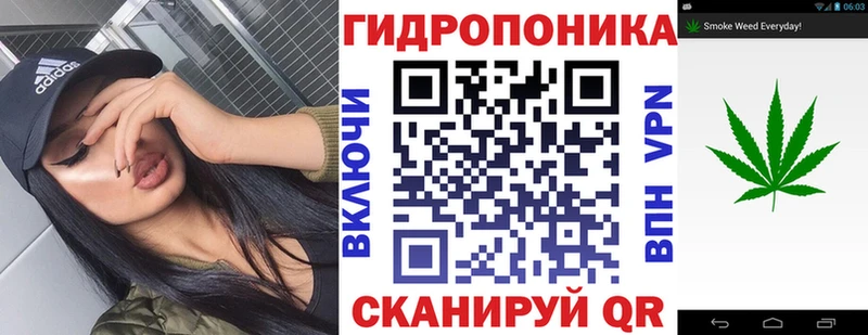 купить наркотик  Ясный  Шишки марихуана конопля 
